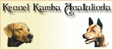 Kennel Kamba Anatulinda